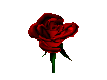 roses098.gif