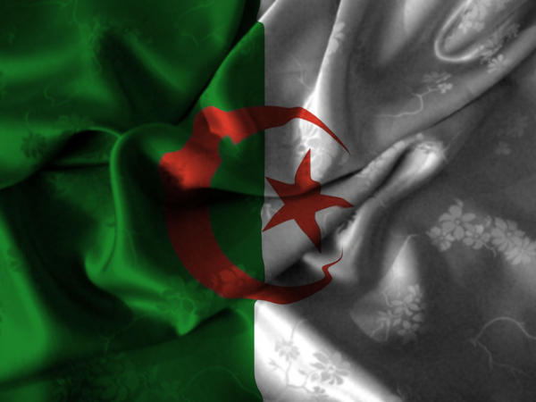 Flag_of_ALGERIA_by_OAMstyle.jpg