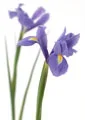 PAA284000024.webp