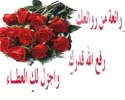 9d0a662796.jpg