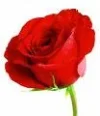 images[68].webp