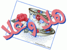 mowjeldoha.com-3barat-130.gif
