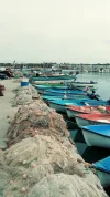 IMG-b60da7a8efad8c1eeb811197e6aa8594-V.webp
