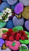 stones-ca170f6b-8fe6-3ac1-94cb-d6fd6f59d047.webp