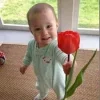 8585.webp