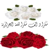 1593723743491.webp