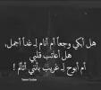 15945814928756729705386363340806.webp