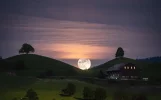 3256854.webp