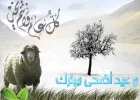 images-2203f39e7f.webp
