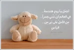 PicsArt_08-15-11.28.52.webp