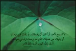 PicsArt_08-15-01.27.04.webp