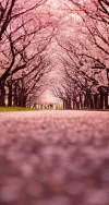 images (44).webp