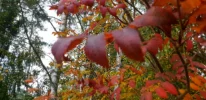 EjijtsvX0AMeOd4.webp
