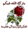 1605336202214.webp