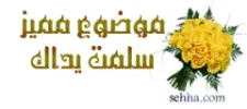 1607854766981.webp