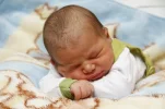 Photo 005.webp