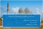 12.webp