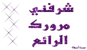 1624962124254.webp