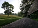 IMG_20210702_065111.webp