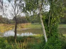 IMG_20210702_070814.webp