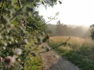 IMG_20210702_071633.webp