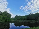 IMG_20210702_073139.webp