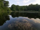 IMG_20210702_072920.webp