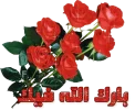 1625557469192.webp