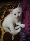 PicsArt_12-29-09.35.31.webp
