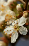 PicsArt_01-01-10.36.18.webp