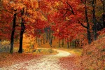 PicsArt_01-01-10.37.04.webp