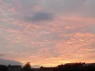 IMG_20201115_172817.jpg