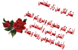 1646059388472.webp