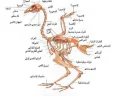 images (11).webp