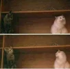 FB_IMG_1663600351162.webp
