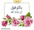 1668932303023.webp