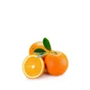 Screenshot_20230228-195313_Chrome.webp