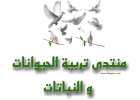 1693406214293.webp