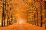 Autumn-In-The-Netherlands-Photograhy_7-640x426.jpg