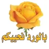 a85442560a04843dca52f3550e4e98a5.webp