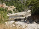 SNC10194.webp