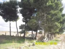 SAM_0349.webp