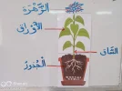 FB_IMG_1698672111018.webp