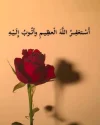 FB_IMG_1707397659701.webp