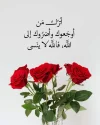 FB_IMG_1732028214121.webp