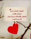 FB_IMG_1732028187561.webp