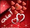 images.webp