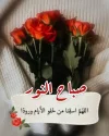 FB_IMG_1733128146946.webp