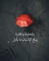 FB_IMG_1733074328735.webp