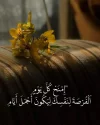 FB_IMG_1733073907608.webp